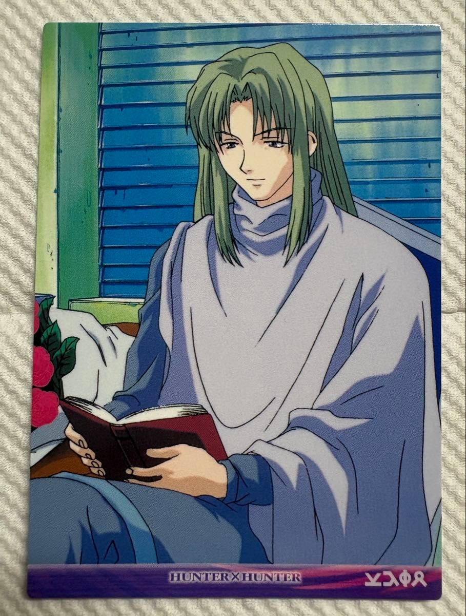 HUNTER×HUNTER カードダスマスターズ 初版 ゴン コン太 No 17 ハンター