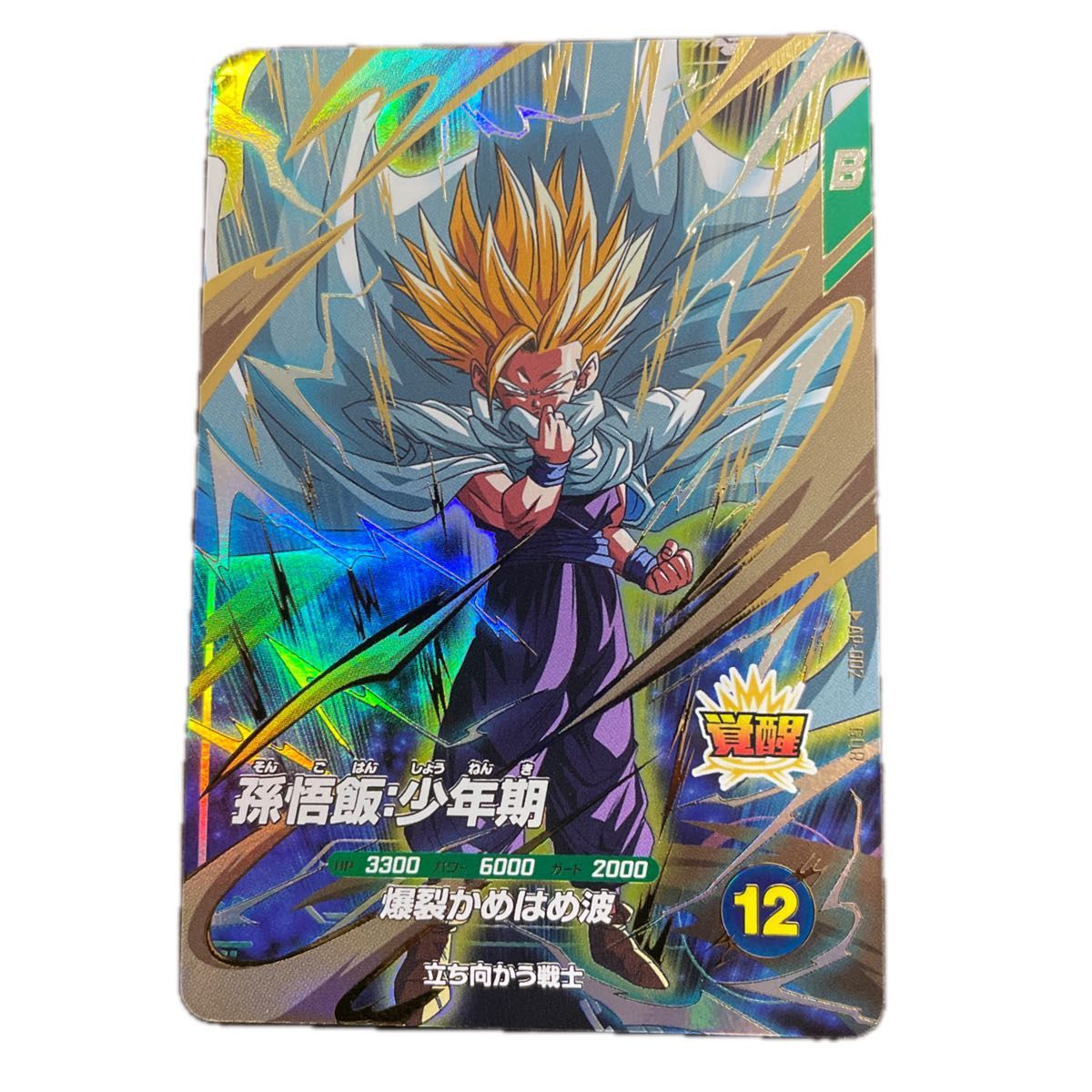 超希少品 ドラゴンボールスーパーダイバーズ GDR パラレル ゴッドレア