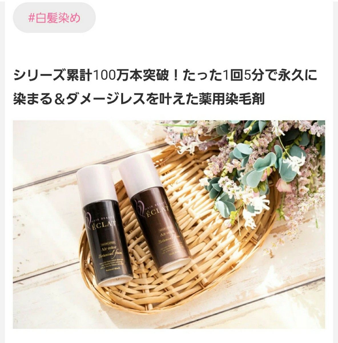 新品1箱 白髪染め ヘアボーテ エクラボタニカル エアカラーフォーム(泡