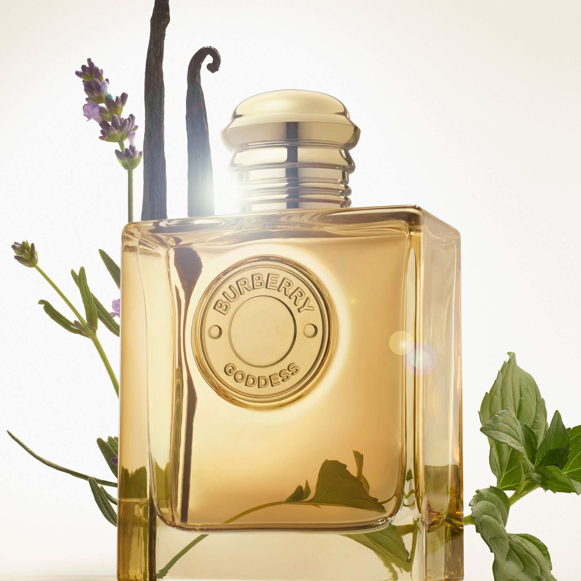 Burberry Goddess Intense Eau de Parfum Fragrance for Ladies
