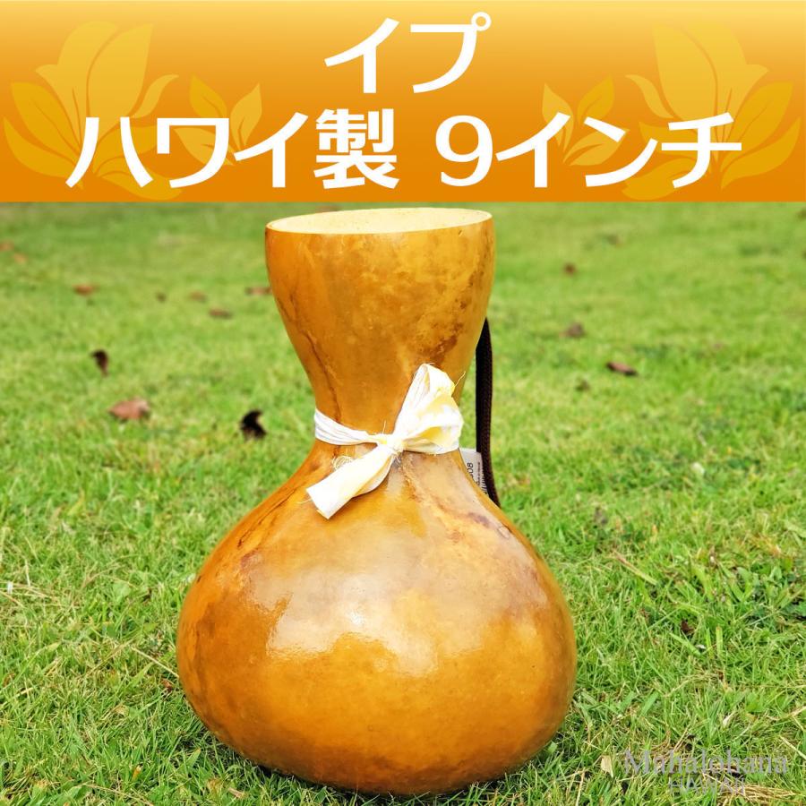 ハワイアン フラダンス 楽器 イプ ヘケ オレ Lサイズ (9インチ) ハワイ