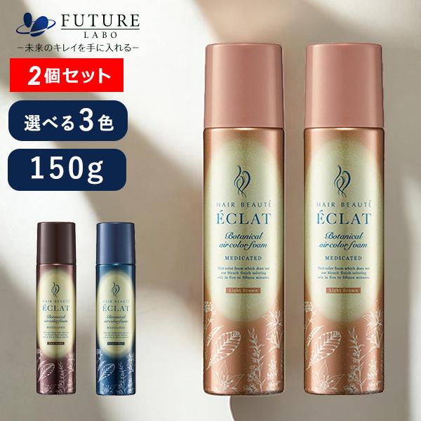 ヘアボーテ エクラ ボタニカルエアカラーフォームEX 2本セット 簡単