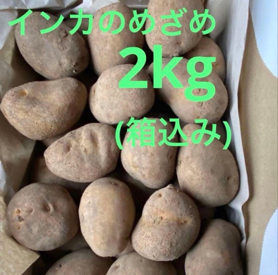 ELLY 10 kg 種芋 ジャガイモ